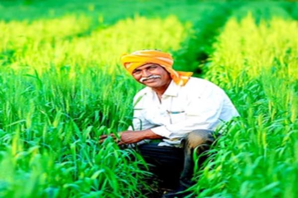 Farmers to Benefit as Cabinet Extends PM Fasal Bima Yojana and DAP Subsidy Scheme